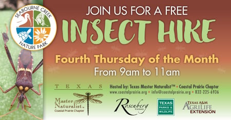 FREE Insect Hike Thursday at Seabourne Creek Nature Park