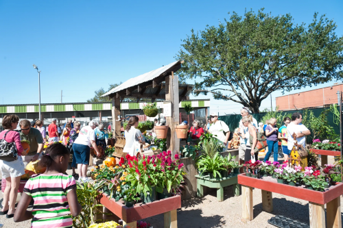 Farmer's Market at Imperial Park