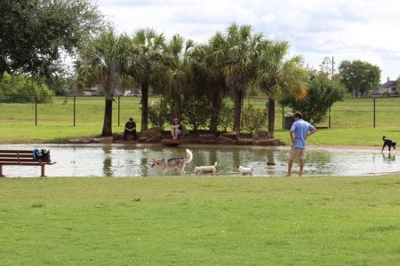 Sugar Land Dog Park