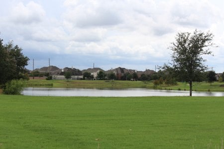 Oyster Creek Park - Creek 2